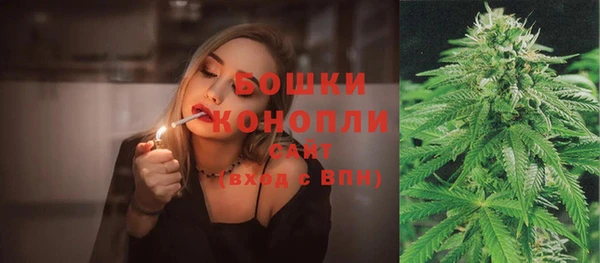 молекула духа Дмитровск