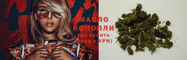 ешки Дмитриев