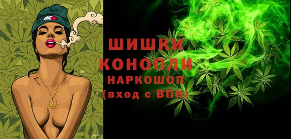 молекула духа Дмитровск