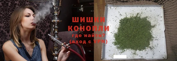 ешки Дмитриев
